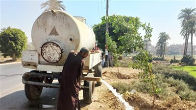 طارق الفقى: زراعة 40 ألف شجرة بمدن وقرى سوهاج