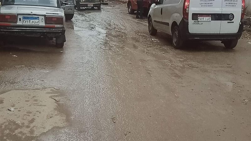 الاسكندريه