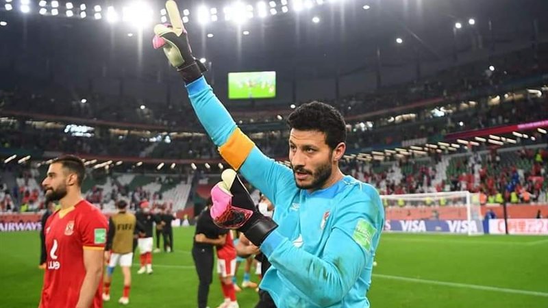 محمد الشناوي 