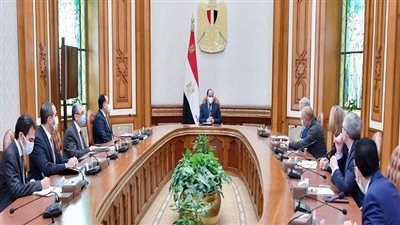 تفاصيل لقاء السيسي مع رئيس شركة 