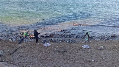 محافظ الإسكندرية يكلف بإزالة المخلفات من شاطئ السلسلة 