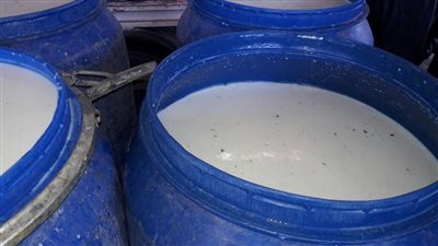 ضبط 600 كيلو لبن غير صالح للاستخدام بالمنيا