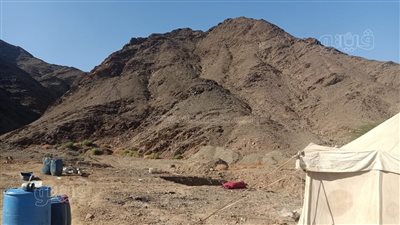 الثروة المعدنية: إنشاء شركة مصرية للذهب لتحويله من المحلية للعالمية