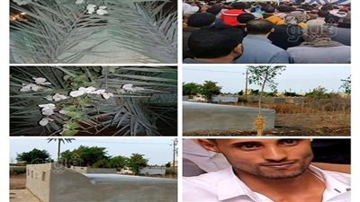 فرحك النهاردة في الجنة.. أسرة وأصدقاء عريس 