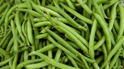 التصديري للحاصلات الزراعية يناقش فواقد الفاصوليا الأحد المقبل 