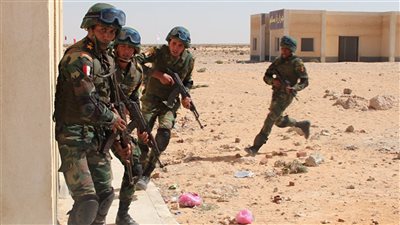 تقرير أمريكا السنوي عن مكافحة الإرهاب: مصر نجحت