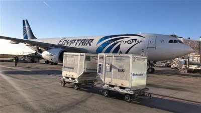 سفارة مصر في المجر تنهي إجراءات شحن 200 ألف جرعة لقاحات كورونا مهداة إلى مصر | صور