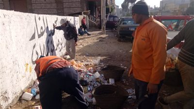 في 48 ساعة.. رفع 370 طن قمامة خلال حملات نظافة بالدقهلية 