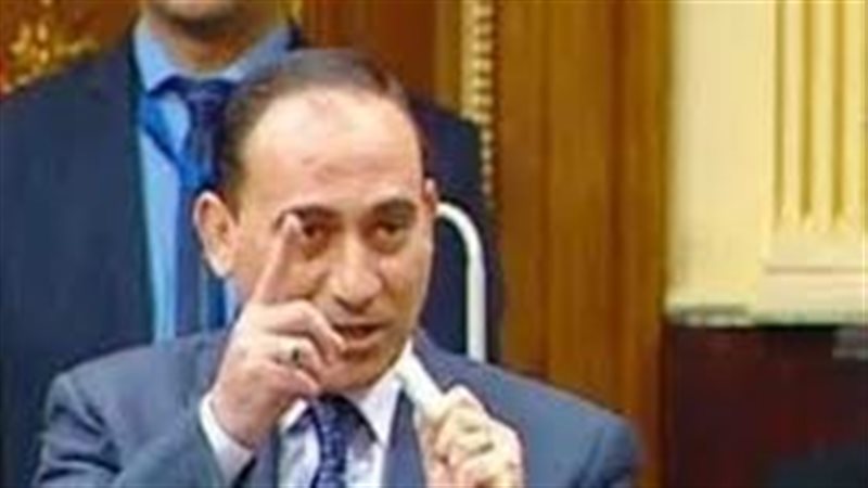 النائب محمد زين الدين