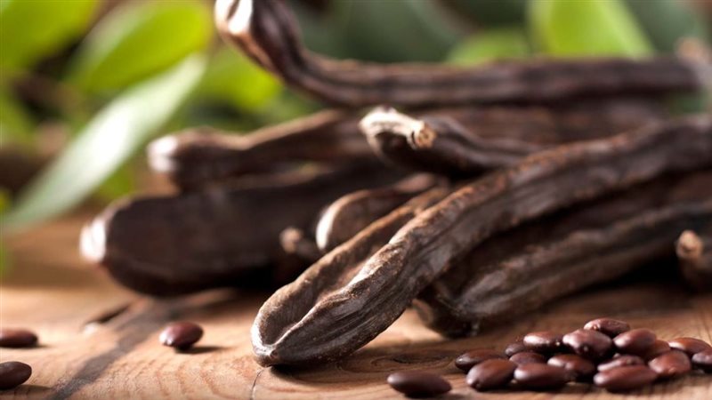 فوائد الخروب