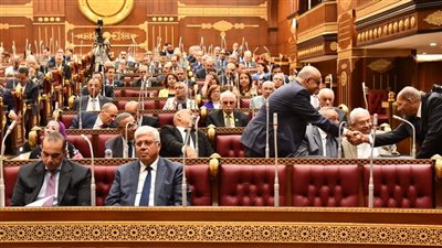 نائب منتقدا التعليم العالي: 