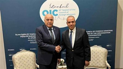 وزير الخارجية يحذر من استمرار التصعيد العسكري بين إسرائيل وإيران 