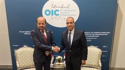 وزير الخارجية يؤكد دعم مصر الراسخ للحكومة اليمنية الشرعية