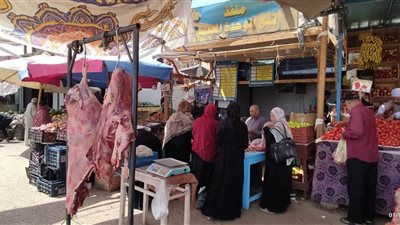 فتح منافذ لتوفير السلع الأساسية في الخارجة بالوادي الجديد (صور)