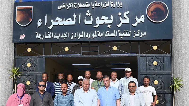 الوادي الجديد، ڤيتو