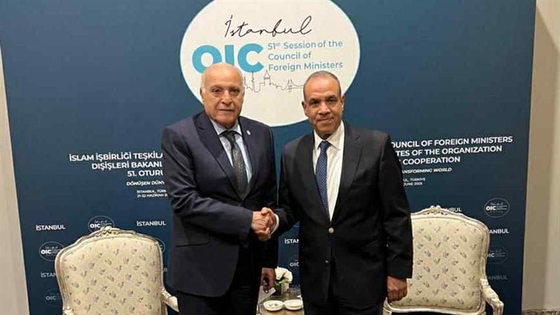 وزير الخارجية ونظيره