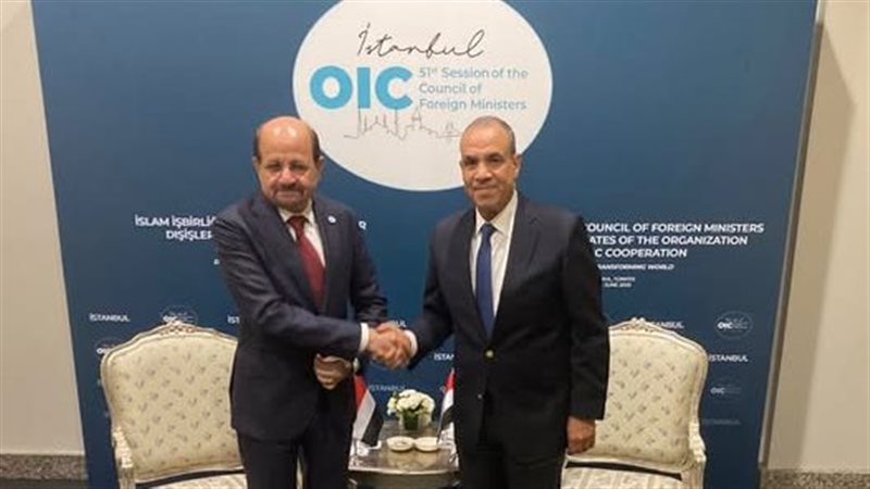 وزير الخارجية ونظيرة