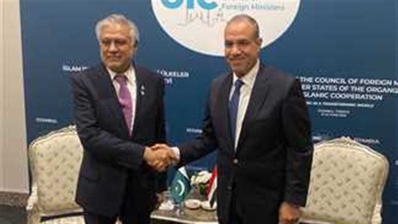 وزير الخارجية ونظيره