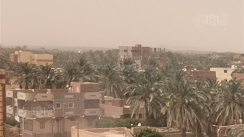 الوادي الجديد، ڤيتو