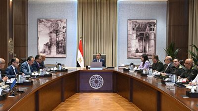 تشغيل منظومة الطاقة الشمسية في جميع المباني الحكومية بالعاصمة الإدارية 