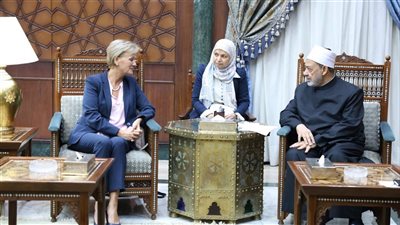 شيخ الأزهر لـ سفيرة الاتحاد الأوروبي: ما يحدث في غزة إبادة جماعية 