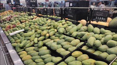  لعشاق المانجو، ملكة الفواكه الصيفية تستعد لذروة الموسم.. شعبة الفاكهة: الأسعار في متناول الجميع.. تبدأ من 15 جنيهًا بسوق الجملة.. والأغلى بـ 110 جنيهات