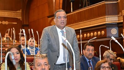 رئيس لجنة الثقافة بالشيوخ: إصلاح التعليم يبدأ بتحسين أوضاع المعلمين