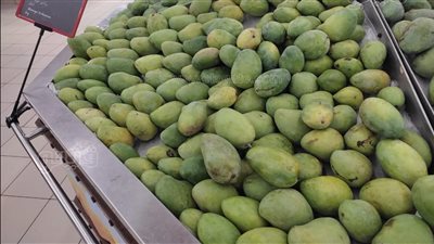 تبدأ من 46 جنيهًا، أسعار المانجو اليوم في المحال التجارية