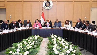 كامل الوزير يترأس اجتماع المجموعة الوزارية للتنمية الصناعية