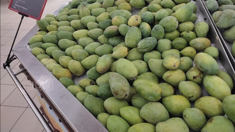أسعار المانجو في