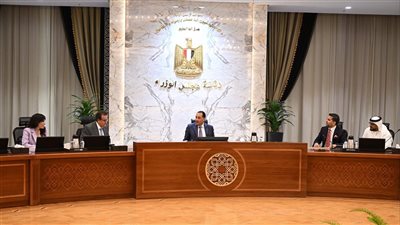 مدبولي يستعرض مع رئيس مؤسسة 