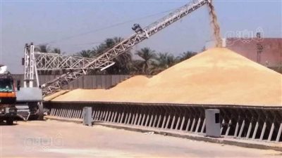 محافظة أسوان تنجح في تخطي المستهدف لتوريد القمح بنسبة 113% 
