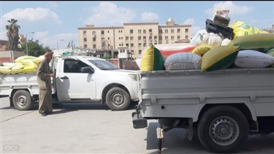 تموين الشرقية: انتظام العمل بمنظومة توريد القمح 