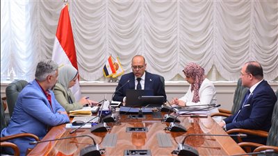 وزير العمل يوجه مكاتب التمثيل بالخارج بالتواصل مع الشركات لتوفير فرص عمل للشباب المصري