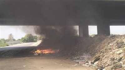 إخماد حريق اندلع بحديقة المتحف الزراعى فى الدقى 