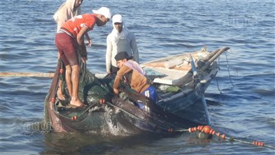 كيف يمارس صيادو أم الخلول مهنتهم لحظة غروب الشمس ببحيرة التمساح بالإسماعيلية (فيديو وصور)