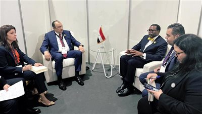 وزير قطاع الأعمال العام يلتقي رئيس البنك الأفريقي للتنمية على هامش قمة لوندا