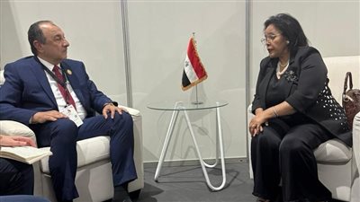 شيمي: مصر تمتلك إمكانات كبيرة ونسعى لتوظيفها لبناء شراكات مستدامة بالأسواق الأفريقية