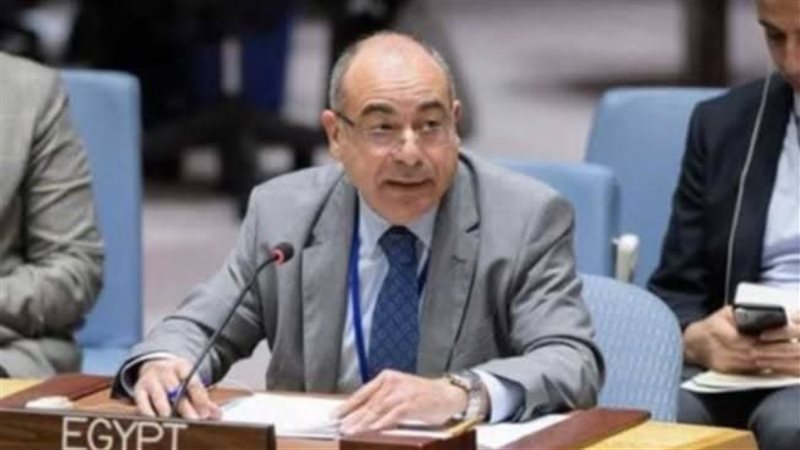 السفير محمد إدريس،