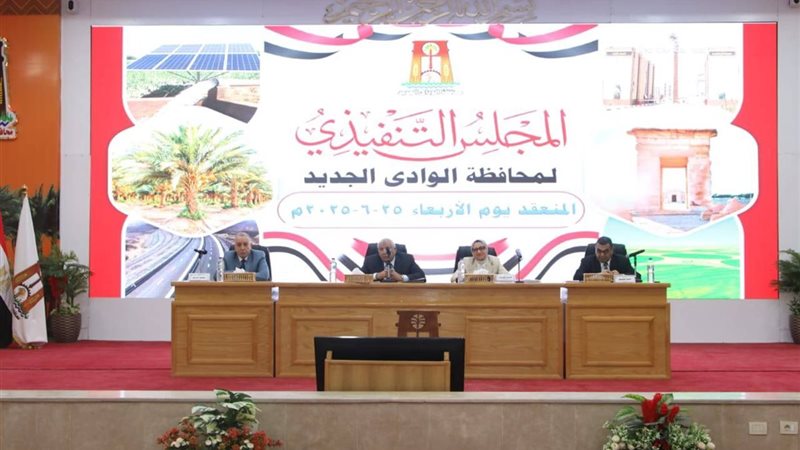 المجلس التنفيذي للوادي