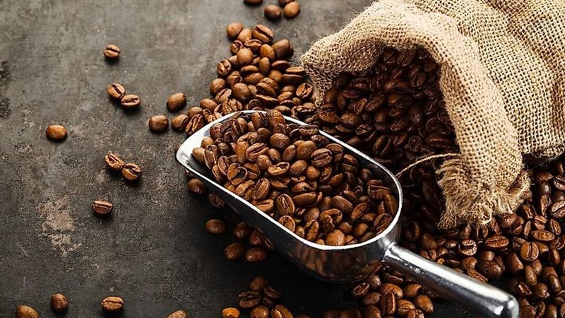 اسعار البن فيتو