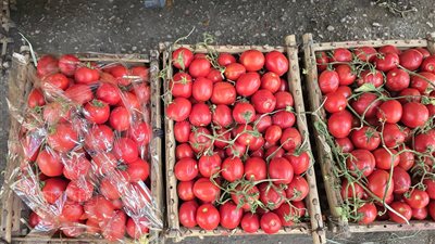 قفص الطماطم بـ50 جنيها، أسعار الخضراوات في سوق الجملة بـ6 أكتوبر (صور)