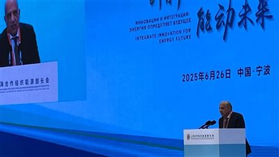 وزير الكهرباء: لدينا مشروع قومي لتوطين التكنولوجيا وخطط للربط التيار مع الدول المجاورة