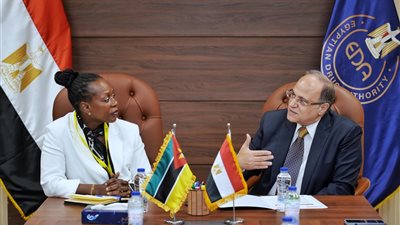 الغمراوي: مصر حريصة على تعزيز صادرات الدواء لأفريقيا