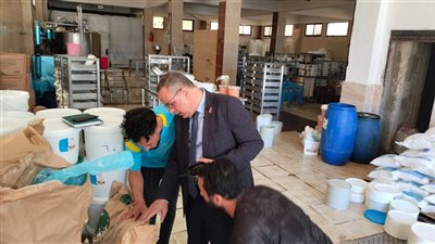 التحفظ على 11 طن مواد غذائية غير صالحة للاستهلاك خلال حملات بالدقهلية