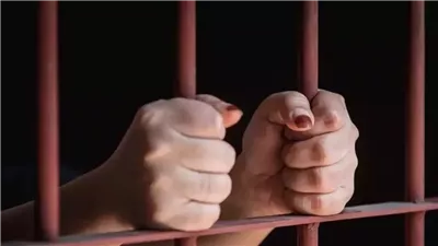 إحالة ربة منزل متهمة بخطف طفل بالوايلي للمحاكمة 