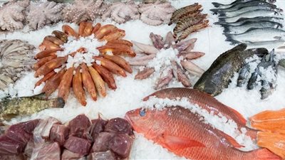 سعر السمك اليوم الجمعة، ارتفاع الجمبري 30 جنيها وانخفاض كبير في المكرونة والسبيط