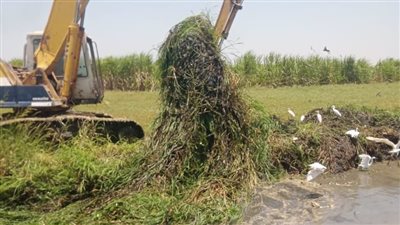 تطهير 4 ترع بأسيوط لضمان وصول المياه لنهايتها (صور) 