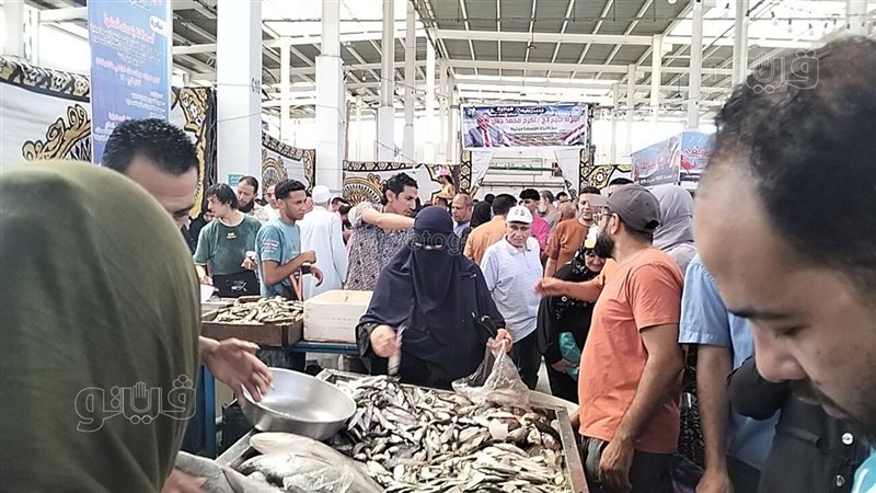 جانب من فعاليات المبادرة،