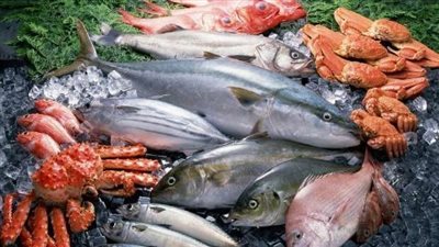 سعر السمك اليوم، قفزة في 5 أصناف منها البلطي والمكرونة وانخفاض الجمبري